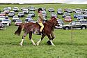 Carnwath2025Ring2630