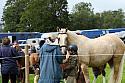 Carnwath2025Ring3009
