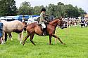 Carnwath2025Ring3015