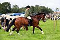 Carnwath2025Ring3028