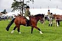 Carnwath2025Ring3030
