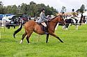 Carnwath2025Ring3037