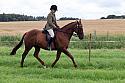 Carnwath2025Ring3053