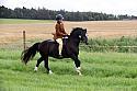 Carnwath2025Ring3057