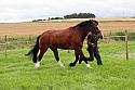 Carnwath2025Ring3061