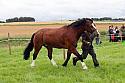Carnwath2025Ring3062