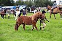 Carnwath2025Ring3095