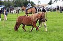 Carnwath2025Ring3096