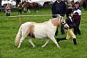 Carnwath2025Ring3102