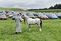 Carnwath2025Ring3154