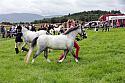 Carnwath2025Ring3165