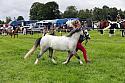 Carnwath2025Ring3167