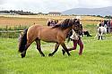 Carnwath2025Ring3174