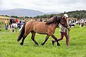 Carnwath2025Ring3176