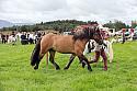 Carnwath2025Ring3177