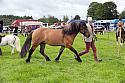 Carnwath2025Ring3178