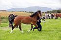 Carnwath2025Ring3180