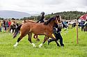 Carnwath2025Ring3181