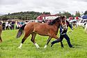 Carnwath2025Ring3182
