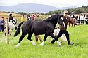 Carnwath2025Ring3187