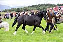 Carnwath2025Ring3188