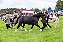 Carnwath2025Ring3189