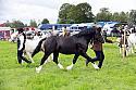 Carnwath2025Ring3190