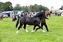 Carnwath2025Ring3191