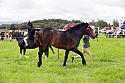 Carnwath2025Ring3193