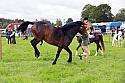 Carnwath2025Ring3194