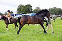 Carnwath2025Ring3195