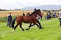 Carnwath2025Ring3202