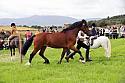 Carnwath2025Ring3203