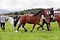 Carnwath2025Ring3204