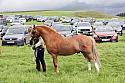 Carnwath2025Ring3233