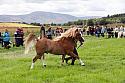 Carnwath2025Ring3235