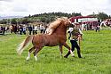 Carnwath2025Ring3236