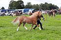Carnwath2025Ring3238