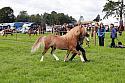 Carnwath2025Ring3239