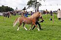 Carnwath2025Ring3240