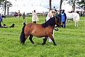 Carnwath2025Ring3242
