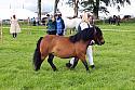 Carnwath2025Ring3243