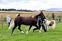 Carnwath2025Ring3247