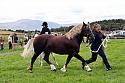 Carnwath2025Ring3249