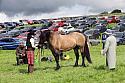 Carnwath2025Ring3259