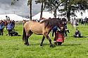 Carnwath2025Ring3260