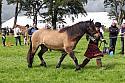 Carnwath2025Ring3261