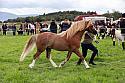 Carnwath2025Ring3267