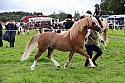 Carnwath2025Ring3268