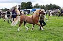 Carnwath2025Ring3269